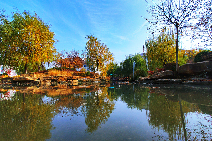 中國鐵建的建設者通過專業設計改造，將隱藏在城市角落，長期以來被忽略遺棄的微小空間轉變成適合公眾日常活動的區域，既實現了土地資源的精細化利用，又改善了城市人居環境。圖為平度市內景觀水系治理、綠化完成后的景色。（師華鵬 攝）