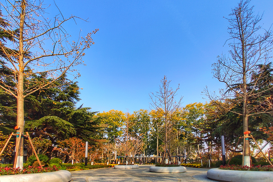 據悉，該項目主要為了服務地區新舊動能轉化與鄉村振興戰略，其投入使用將大大增強該地區“雙招雙引”（招商引資 招才引智）活力，為進一步加快打造青煙濰城市群會客廳和青島輻射帶動半島一體化發展橋頭堡提供有力支撐。圖為平度市品質提升后的市容景觀。（師華鵬 攝）