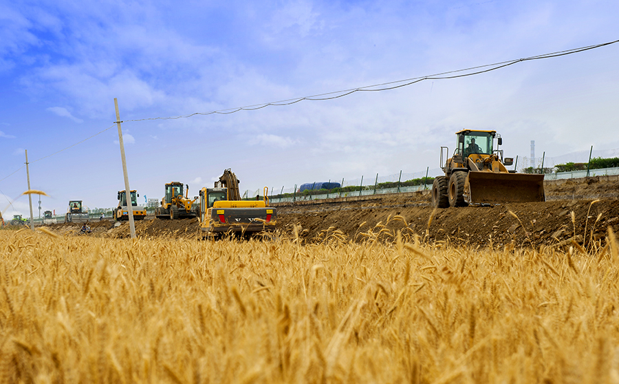 圖為麥田旁的京滬高速施工現場。