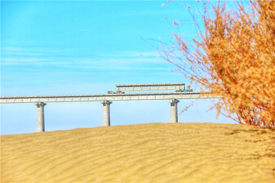 尼雅河特大橋為跨河、流動沙丘而設，總長18628.46米，是和若鐵路全線最長的橋梁；若克雅特大橋是全線最高橋梁，共有橋梁297孔，最高橋墩35米，橋墩平均高度24米，若克雅特大橋地處流動風沙區，風沙危害嚴重，設計橋梁是為了以橋代路，為風沙流動讓出通道。圖為作業人員正在運送T梁。（汪建鴻 攝）