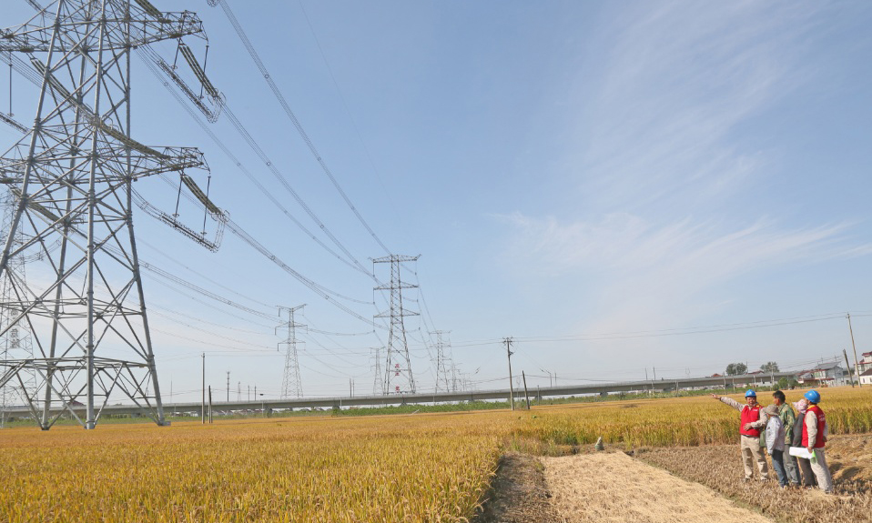 在10月下旬，國網東臺市供電公司全力做好中國國際進口博覽會保供電工作，對東臺市境內1000千伏泰吳Ⅰ/Ⅱ線通道進行特巡，全面排查治理輸電線路通道隱患，重點排查治理外力破壞、交叉跨越等方面的隱患，對線下魚塘、樹竹生長區、通道附近施工、大棚、廣告牌、彩鋼瓦等防護薄弱區域開展隱患深度治理，及時清理通道內易被大風吹起的漂浮物和其他危險品，及時砍伐危及線路安全的樹竹，加大限高裝置、防撞裝置、智能視頻監控裝置等物防、技防應用，確保所有隱患點可控在控。
