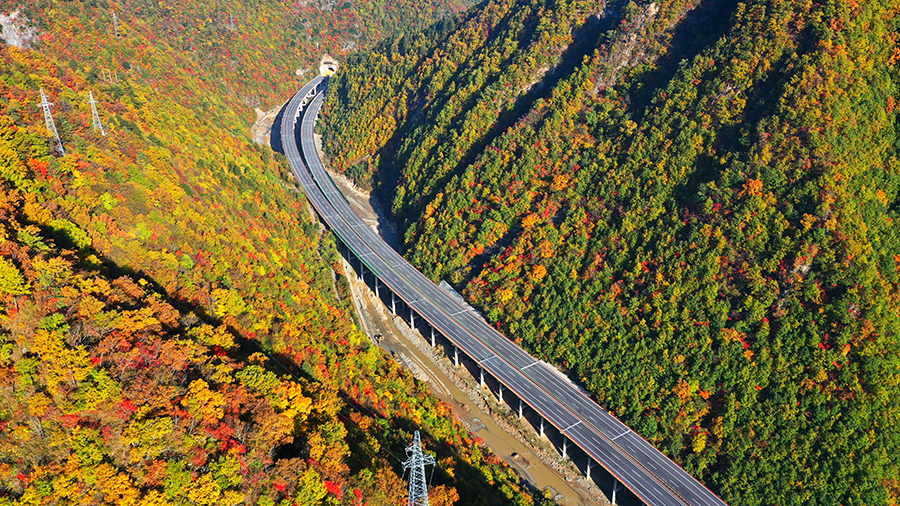 項目技術團隊積極探索，攻克了秦嶺山區高陡地形條件下的隧道進洞、淺埋偏壓隧道開挖、山區河床樁基涌水、高陡邊坡深挖路塹施工等施工難題。全力保安全、推進度，統籌抓好各項工作，實現重點突破，為工程通車打下了堅實的基礎。圖為通車后的寶坪高速公路巖灣至坪坎段。（白鵬娃 攝）