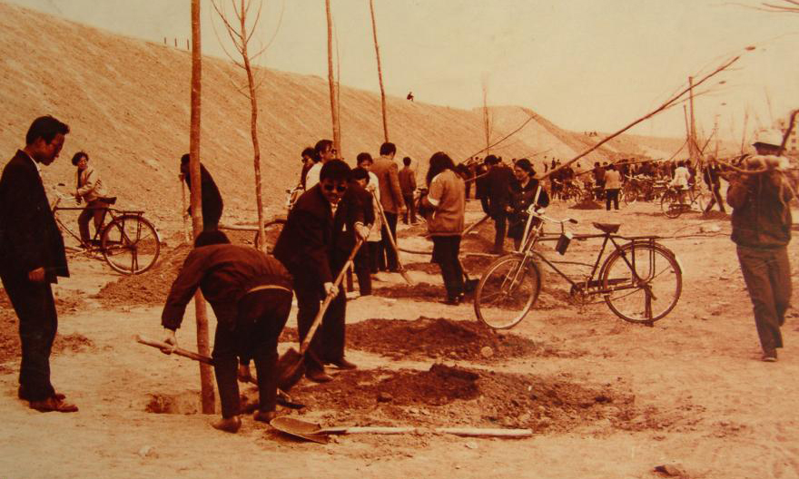 80年代準能集團職工在礦區種植樹苗。