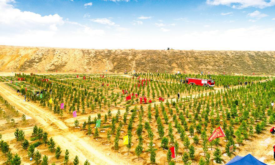 多年來，準能集團持之以恒地開展植樹造林活動。