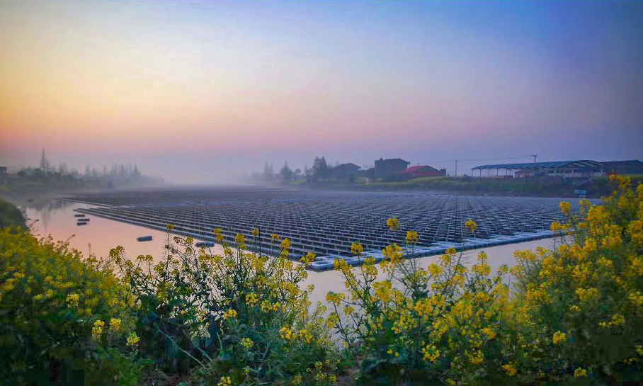益陽北港長河漁光互補光伏電站施工現場春意盎然。