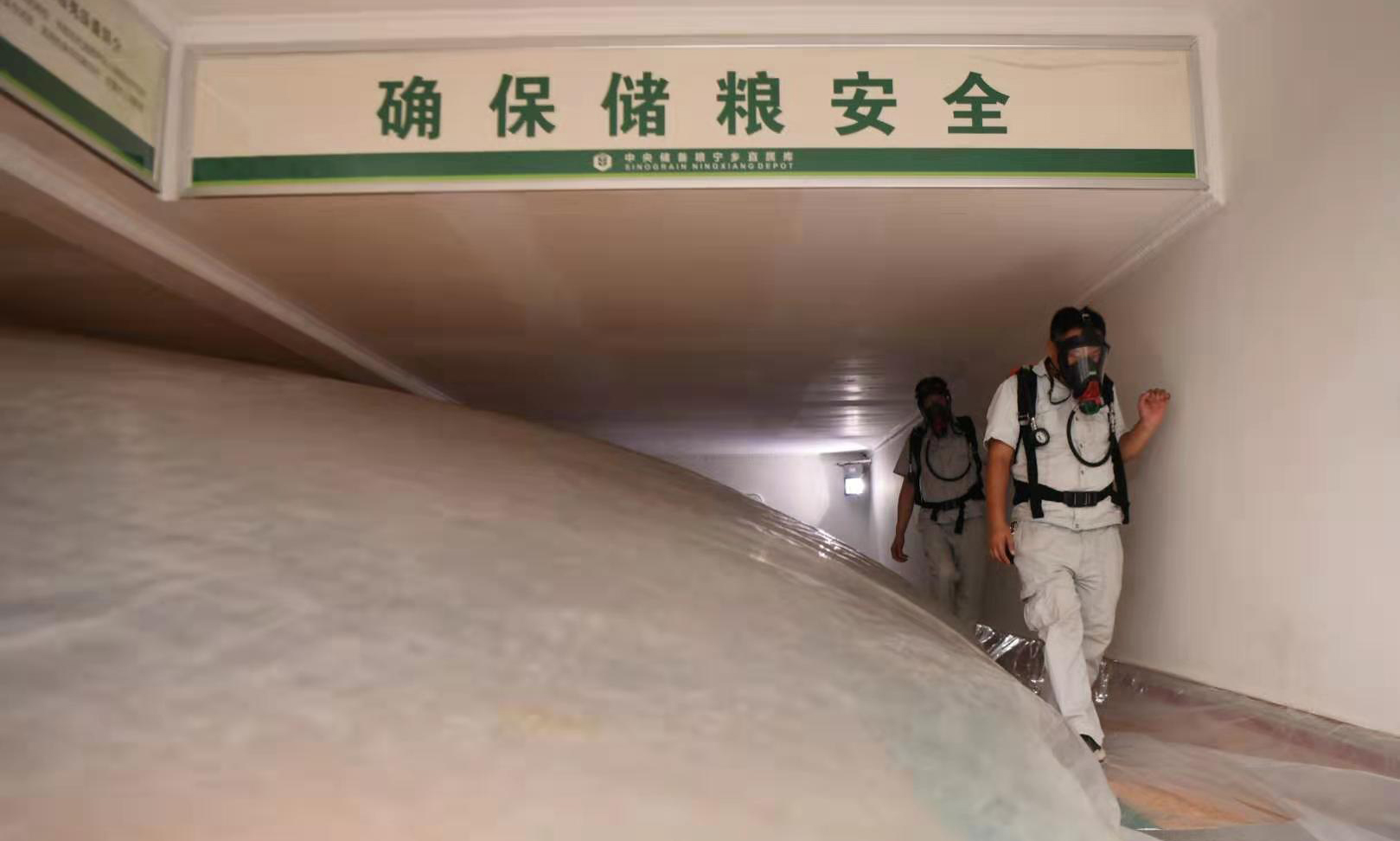 圖為7月30日，中儲糧寧鄉直屬庫保管員在氮氣儲糧倉中檢查膠管是否松動、薄膜是否出現破洞。（新華社記者 薛宇舸 攝）