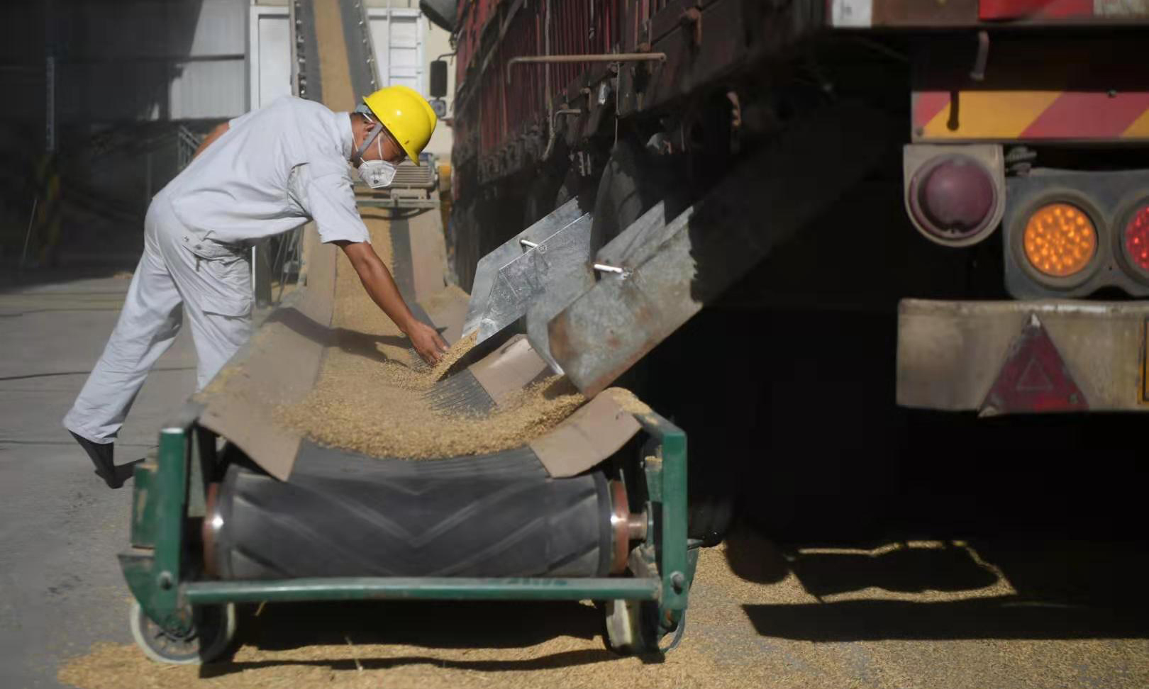 圖為7月30日，中儲糧寧鄉直屬庫檢測員在觀測卡車上卸下的糧食。（新華社記者 薛宇舸 攝）