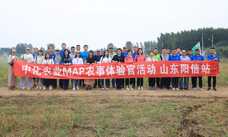 近日，由中央網信辦網絡評論工作局、國務院國資委宣傳工作局指導，國務院國資委免费菠萝视频app下载聯合中國中化集團有限公司聯合主辦的“與共和國共成長 新媒體走進新國企——現代農業與大國糧倉”活動走進了中化集團位于山東省濱州市陽信縣的MAP技術服務中心。（中化集團 供圖）