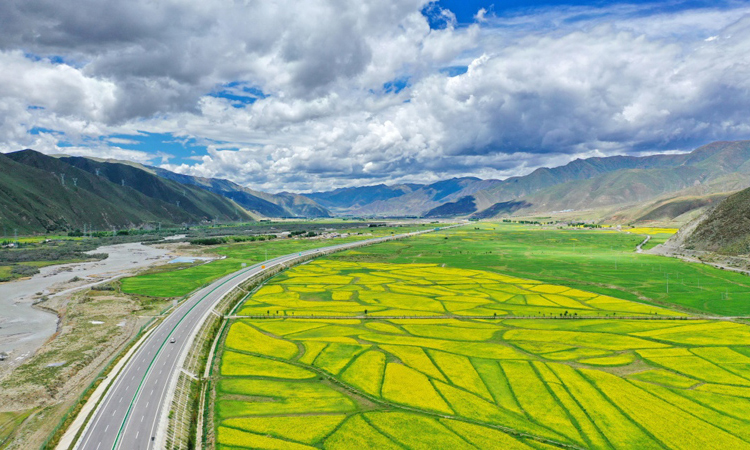 圖為7月16日，無人機拍攝的拉林公路沿線油菜花和青稞地。（新華社記者 張汝鋒 攝）