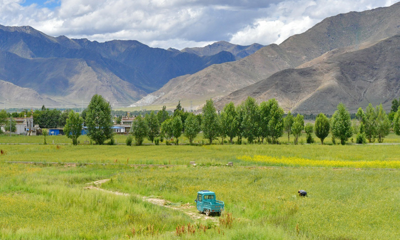 圖為7月16日拍攝的拉林公路沿線田園風光。（新華社記者 張汝鋒 攝）