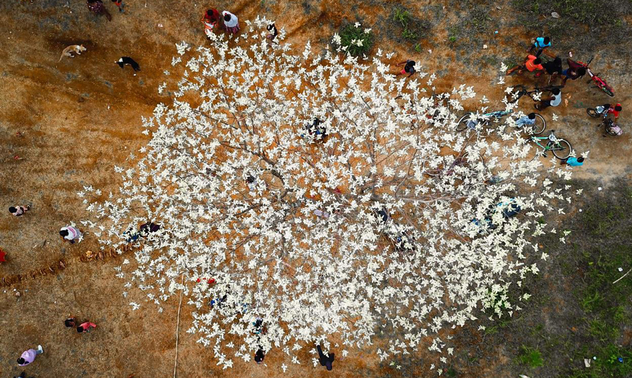 從空中俯瞰在項目空地上玩耍的兒童。