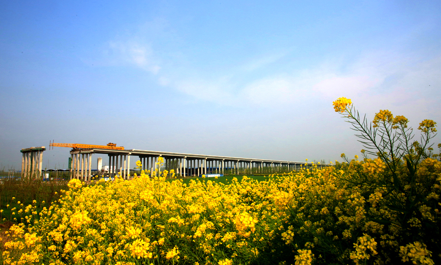 石首長江公路大橋橋址區——下荊江之首石首河段屬于典型的蜿蜒型河道，江面寬闊，流速緩慢，常年泥沙淤積形成了200多米深的細沙層。為讓大橋主塔樁基穩固扎進細沙層中，確保橋梁結構安全，項目團隊確定了119米長摩擦樁的設計方案。針對超厚粉細砂地層長大鉆孔灌注樁鉆孔施工易產生縮頸、塌孔、偏位等地質和技術難題，項目團隊總結了成套施工工法成功破解。圖為石首長江大橋遠景。