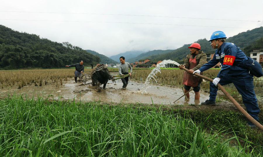 春耕時節，南方電網貴州赤水供電局組織共產黨員服務隊來到田間地頭，加強線路設備隱患排查及維護，幫助農民解決水田春灌、春播、棚膜經濟等用電問題，保障春耕用電。圖為2月24日，南方電網赤水供電局黨員服務隊在貴州赤水市寶源鄉聯奉村幫助村民接電抽水灌田。（王長育 王乾鈴）
