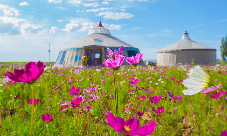 隨著煤礦采區的推進，排土場的綠化復墾區也在不斷跟進，本著開采一方、治理一方的原則，每一塊開采后的土地，最后呈現的模樣都將是草原或良田。圖為復墾區風光。（賈瑞龍 攝）