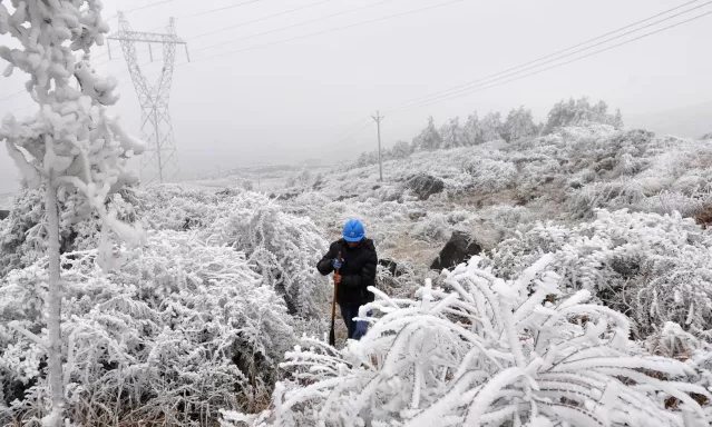 工作人員在巡線路上開展除冰清障工作。（子曉東 攝）