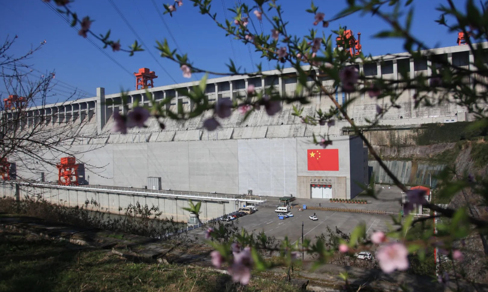 近期，世界最大水利樞紐三峽工程兩岸各色山花開放，春意正濃。中國三峽集團的攝影愛好者紛紛定格這美好的瞬間。（湯偉 攝）