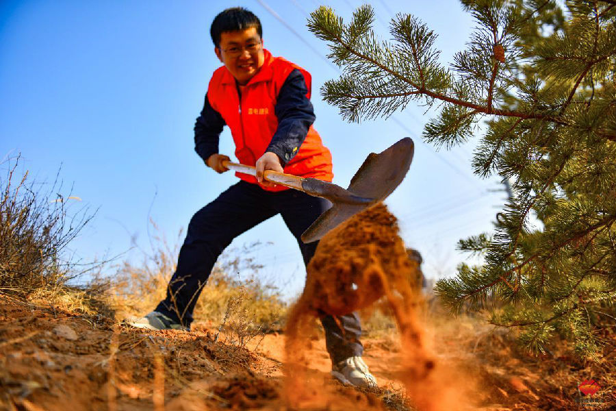 圖為種植現場。（孫丁 攝）