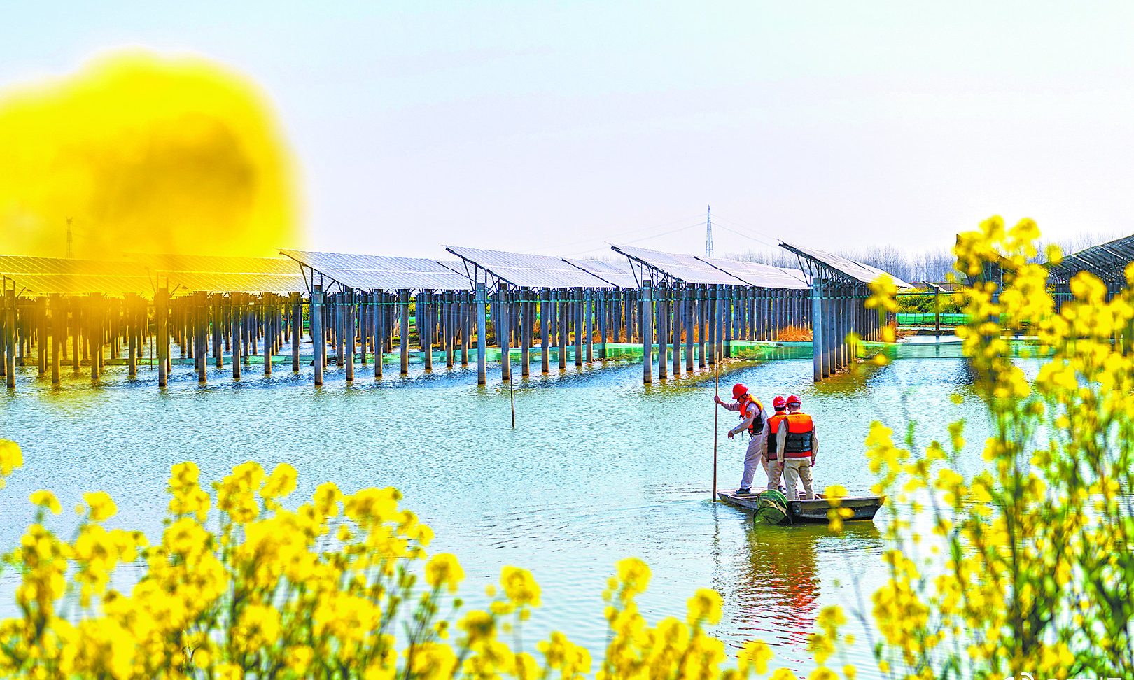 走進“漁光一體”基地，2200畝的園區內，油菜花隨風搖曳，波光粼粼的水面與整齊排列的光伏板交相輝映，美不勝收。圖為工作人員劃著小船兒，穿梭在光伏板之間，認真巡視著每一臺設備，不放過一處缺陷。