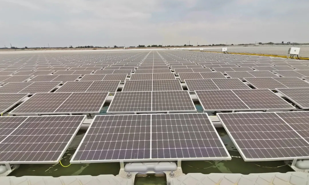 圖為項目現場。