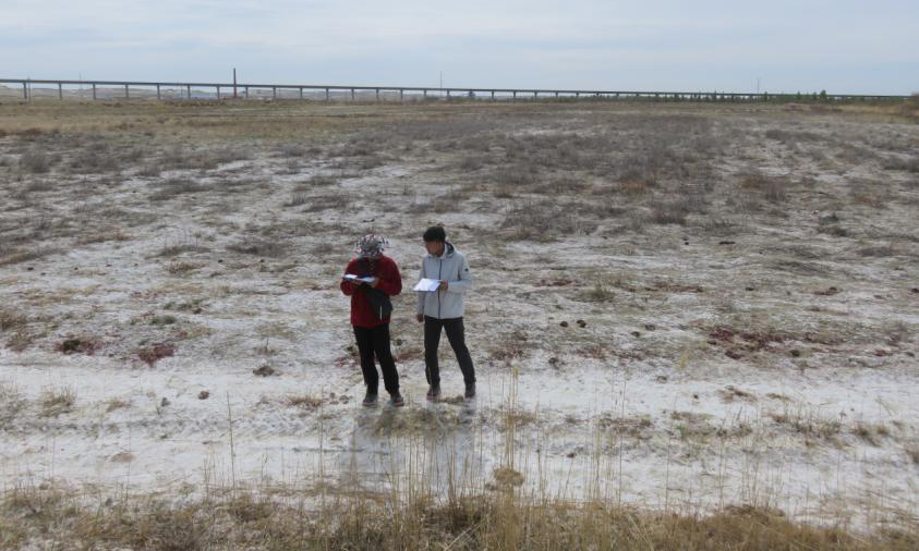 2017年7月至2019年12月，中國地質在新疆烏倫古河流域開展了水文地質環境地質調查項目。該流域生態平衡遭到破壞、荒漠化現象普遍存在，中國地質通過遙感解譯、地面調查、物探、鉆探、山地工程及巖土體測試等手段，查明了流域內因地下水開采或人類活動所引發的環境地質問題的種類、分布、規模、形成條件和產生原因，為烏倫古河流域社會經濟建設與生態環境保護提供了水文地質依據，為當地荒漠化治理提供了科學方案。圖為鹽質荒漠化現象調查現場。