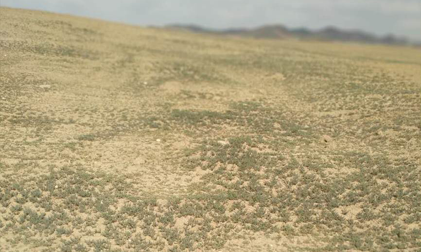 中國節能將統籌推進山水林田湖草沙綜合治理、系統治理、源頭治理，按照“一城一策”“一域一策”的原則，從系統功能需求和全局角度尋求治理修復之道，助力我國生態環境高質量發展。圖為中國地質在新疆阿勒泰周邊開展地質環境生態修復治理項目后拍攝照片。