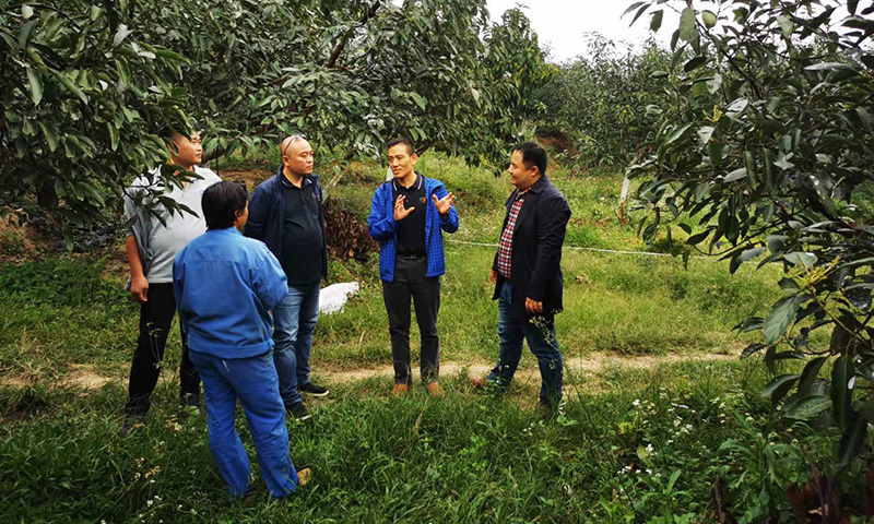 今年以來，中國海油中海化學廣大干部員工多措并舉，扎實做好產品備貨、人力組織、機械裝運等各方面工作，日產化肥1.1萬噸，實現了新春化肥保供“開門紅”，為 “春耕保衛戰”蓄勢賦能。圖為中海化學營銷公司華南分公司農化技術人員為牛油果基地老板提供用肥解決方案，講解種植技術。