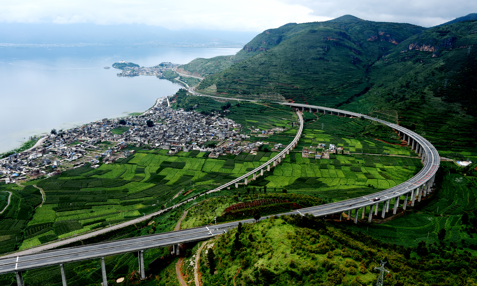 在大麗高速建設中，云南交投集團首開全省之先河，對公路途經區域內的原生植物進行移植，用于大麗高速公路沿線綠化，并在局部有古樹的地段通過調整線路，為古樹“讓路”。