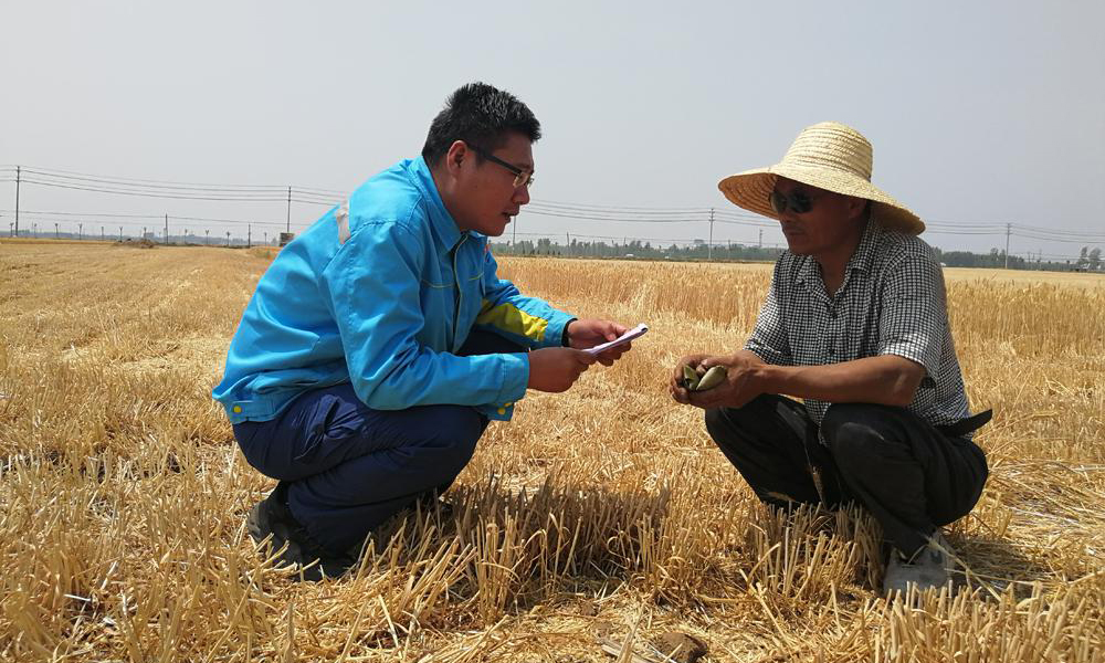中國石油山東銷售公司在全省200座加油站設立農機用油保供站，提供農業用油加油專享通道和專享加油機，24小時不間斷供油。該公司還在線上平臺開設“農業用油綠色通道”專項服務，隨時解決農民所遇困難。圖為近日，工作人員來到田間，為農機手講解惠農政策。王彬 攝 