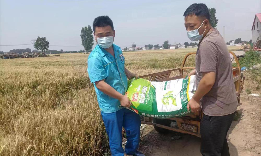 中國石油河北銷售邯鄲分公司積極開展化肥銷售工作，為農戶提供“一站式”保供服務，全天候送肥上門，為該地區夏收夏種提供堅實保障。圖為工作人員將夏種化肥送到用戶田間地頭。張秋穎 攝 