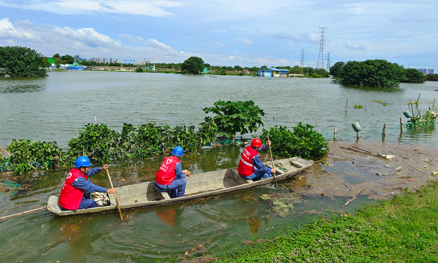 6月16日，廣東佛山順德局樂從所黨員突擊隊撐著小艇，前往大閘村開展線路特巡，保障電網安全運行。嚴智鏗 攝