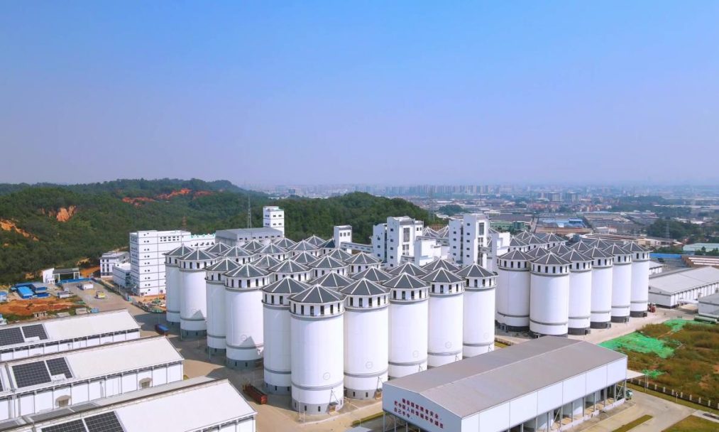 近日，中國建筑一批重點項目竣工，建設者用汗水澆灌夢想，奮力搶抓一季度“開門紅”。圖為廣東佛山糧食倉儲設施及小麥應急加工生產線建設項目。該項目是廣東省重點民生保障工程，建設有3萬噸立筒倉和2條小麥加工生產線及其附屬設施。糧倉內配備生產車間設備組群、全自動智能磨粉機等智能設備，并設有測溫儀器實時監控，精準掌控糧食溫濕度。項目投產后年小麥加工能力預計達到18萬噸，將進一步提升佛山市糧食儲備和應急加工能力，促進粵港澳大灣區面粉市場發展，對保障國家糧食安全、穩定糧食價格和助推地方經濟發展具有重要意義。