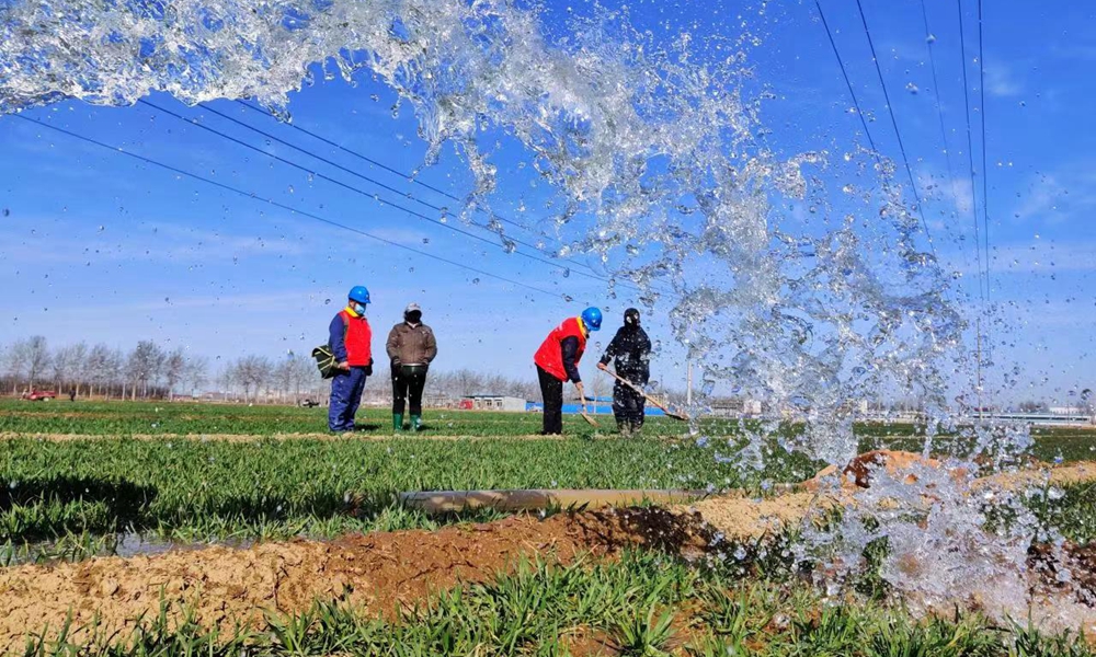 春回大地，萬象更新，又到一年春耕春灌時節。農業生產用電關系農作物豐收、糧食安全。為保障廣大農戶春耕春灌安全可靠用電，服務農業增產增收，國家電網員工深入田間地頭，提前對供電線路、臺區、設備等進行全面“體檢”，及時消除安全隱患，提供優質供電服務。圖為近日，國網河北滄州供電公司員工在春灌現場排查用電線路隱患。