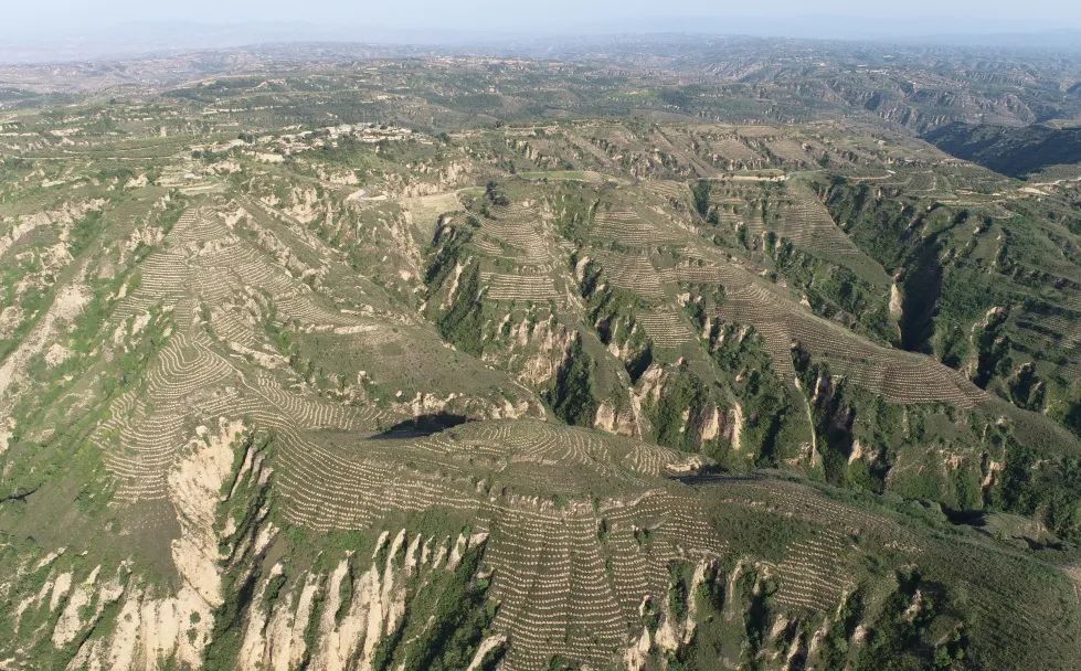 深入踐行“兩山論”，中交二公局在陜西延長縣開展儲備林建設，至今累計種植420余萬棵側柏、油松、樟子松等，生態儲備林和大徑級用材林覆蓋面積達3.8萬余畝，打造了儲林儲碳的優質“雙儲林場”，助力陜西省國家儲備林體系建設和生態保護事業邁上新臺階。