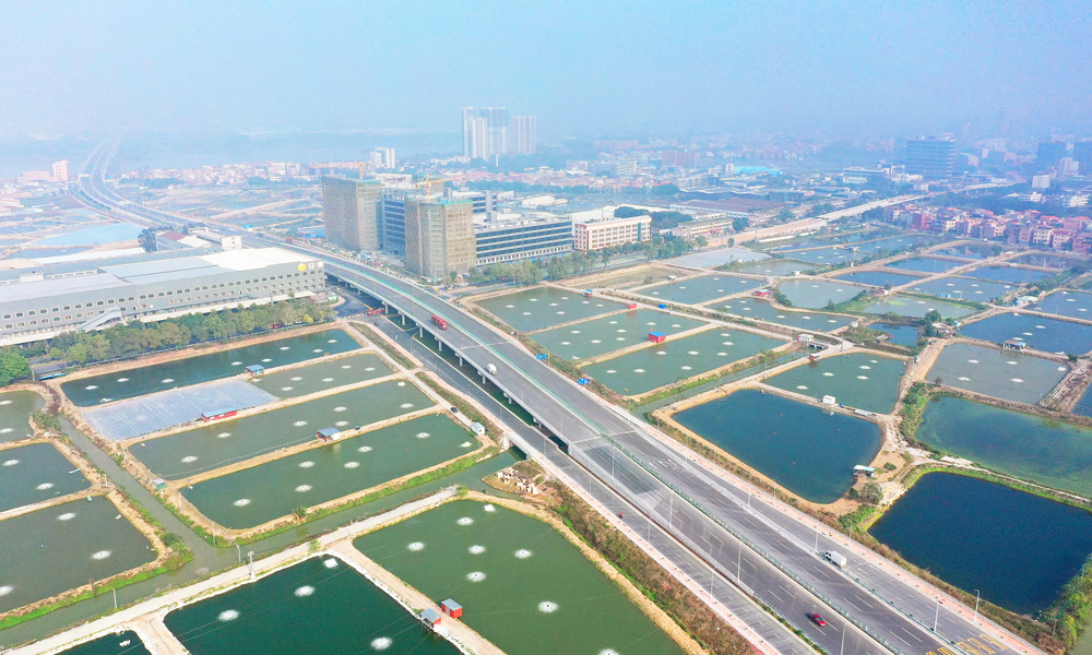 近日，中鐵大橋局參建的廣東佛山市龍翔大橋及引道工程正式通車。該工程西連佛山市高明區，北接西樵鎮，是禪城、南海、高明、三水四區之間環形快速通道的重點連接線，也是佛山市推動粵港澳大灣區建設交通先行的重要項目。中鐵大橋局承建的二標段包括龍翔大橋主線7.766公里及佛山一環輔道約7.6公里。