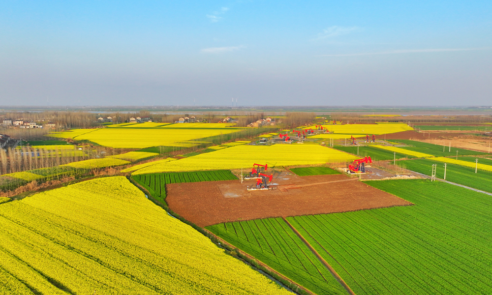 今年以來，中國石化江漢油田緊抓春季上產有利時期，發揮一體化合作優勢，扎實抓好鉆、試、投等工作，全力跑出產建加速度。圖為江漢油田潭口油區。