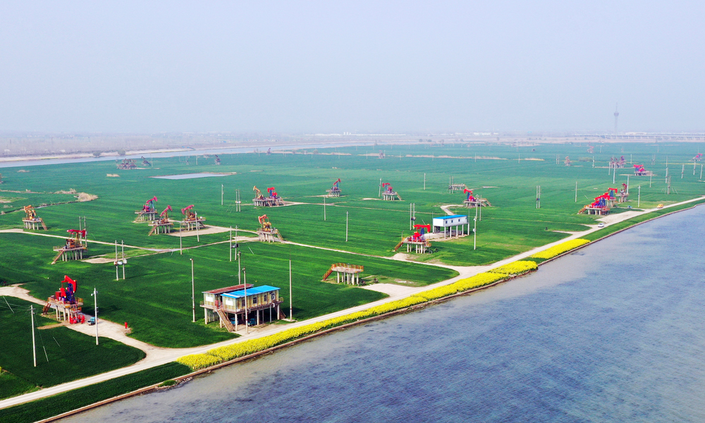 中國石化江蘇油田堅持綠色低碳發展，堅決做到“廢氣不上天，污水不外排”，持續擦亮水鄉油田綠色發展名片。圖為位于淮河入江水道內的江蘇油田采油二廠高集湖區。