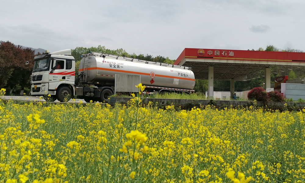 近日，陜西漢中洋縣的萬畝油菜花香氣四溢，在金色的油菜花與鮮艷的寶石花交相輝映下，昆侖物流公司配送車輛為洋縣春耕保供重點加油站配送油品。昆侖物流公司與銷售公司建立聯動保供機制，優化生產組織，提高運行效能，全力保障春耕用油的安全配送。