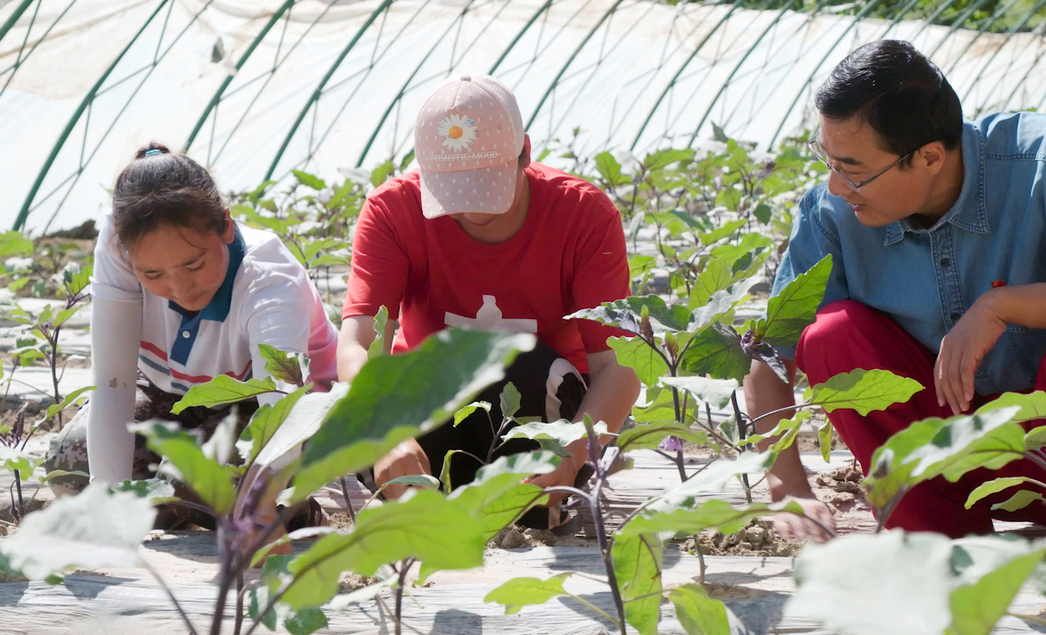 招商局集團始終堅持參與式幫扶的理念，幫助農戶嵌入產業發展鏈條，提升農戶自身發展能力，構建緊密的利益鏈接機制，形成“科技+企業+基地+農戶”的運作模式。項目建設過程中吸納周邊低收入人口務工，項目投資形成的產業大棚資產歸村集體所有，主要租賃給種植大戶，種植辣椒、瓜果等反季節蔬菜，銷往湖南、湖北、四川等地。圖為工作人員向大棚種植戶了解生產情況。