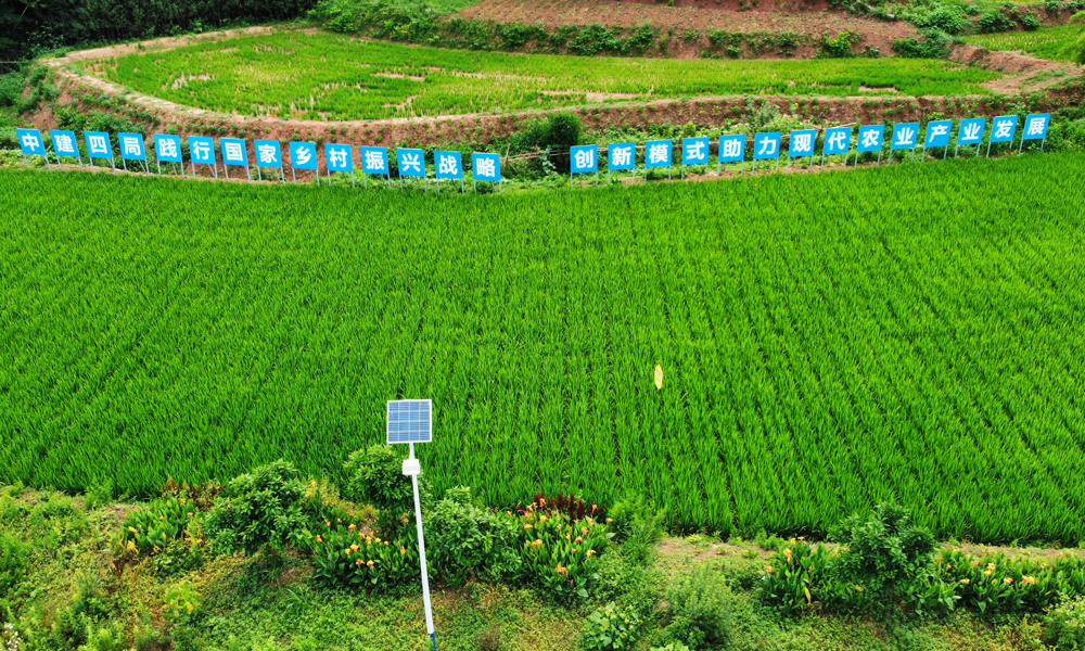 重慶市銅梁區全域土地綜合整治及現代農業產業項目土地整治面積約14000畝，建設內容包括土地整治及灌溉系統、排水設施、生產道路等附屬設施。項目建成后將著力發展特色現代化農業，其中土地整治在實現土地資源的合理配置、提高土地利用率和改善生態環境方面將發揮重要作用，大力推動銅梁區鄉村振興，進一步服務地方“三農”建設。