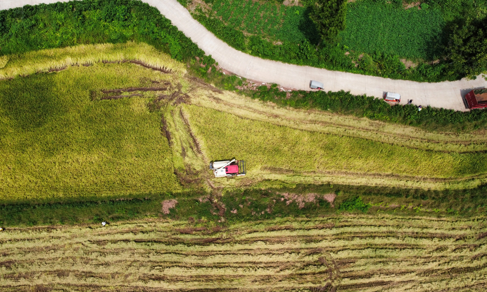 項目部因地制宜，堅持“以用定建、以建促用”的指導思路，大膽設計，多番研究，開展科學“四改”，促使巴掌似的“糧田”到“良田”的華麗轉變。在“改大”階段，將原有田塊“小改大、陡改緩、坡改梯”，將高差較小和形狀不規整的田塊進行合并或調整。