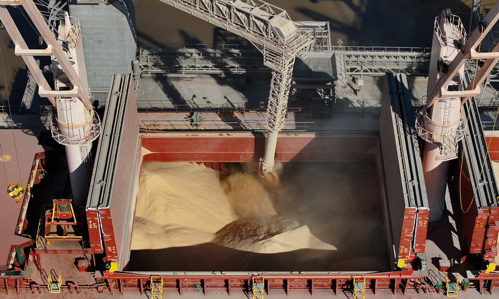 中糧國際是中糧集團旗下主營海外大宗農產品業務的專業化公司，在全球36個國家和地區設有分支機構。在拉美地區，中糧國際的目標是在2025年建立“零毀林”大豆供應鏈。圖為中糧國際在提布斯港裝載首船“零毀林”大豆產品。