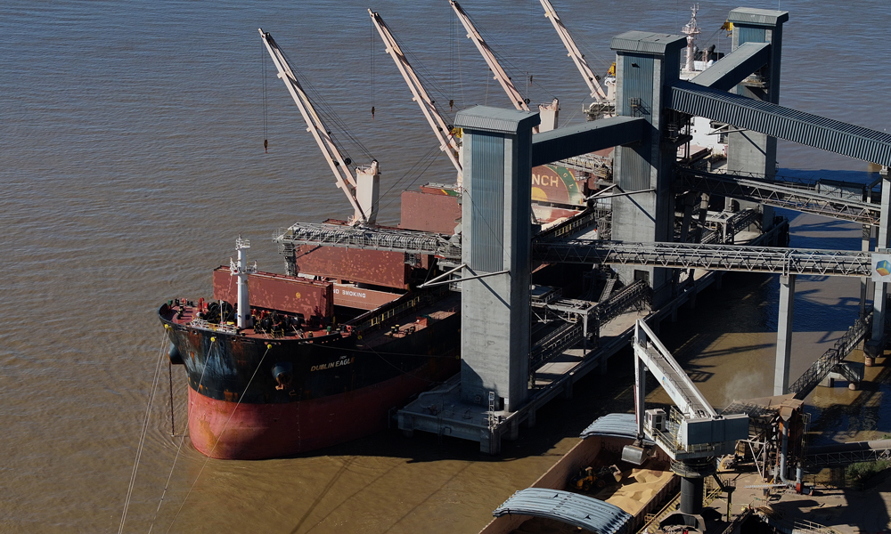 中糧國際在提布斯港裝載首船“零毀林”大豆產品。