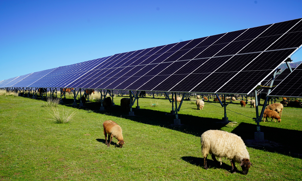 中國綠發新疆中綠電尼勒克400萬千瓦風電光伏項目。