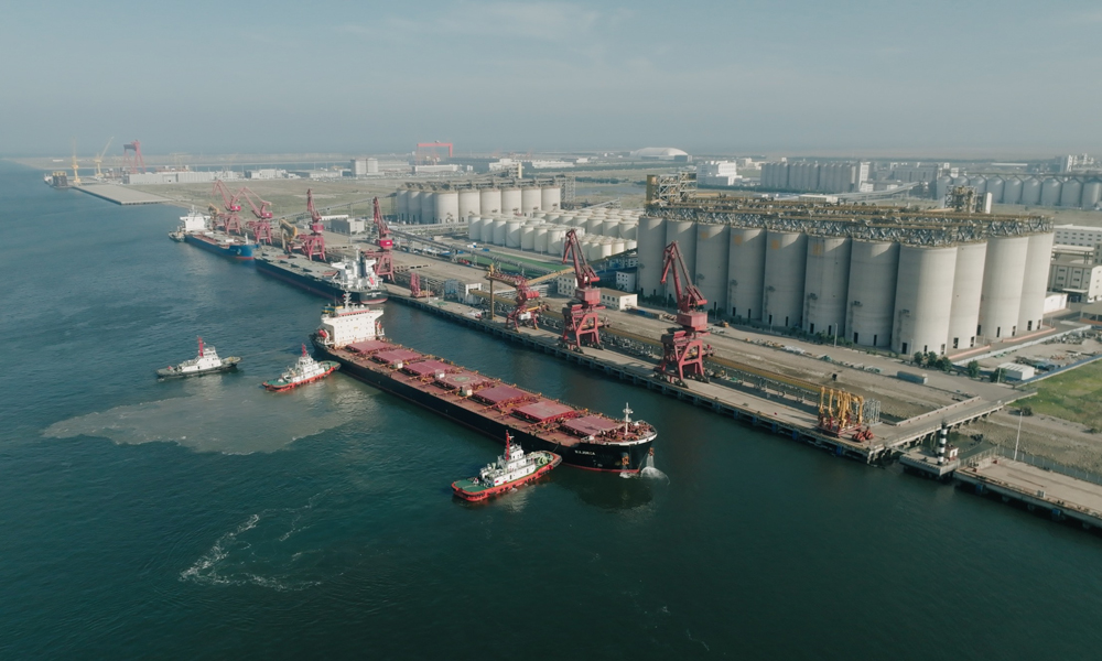 近日，裝載著由中糧集團進口的中國首單“零毀林和零植被破壞”（以下簡稱“零毀林”）巴西大豆的貨輪，經過一個多月的航行，自巴西的巴卡雷納港抵達中國天津港。