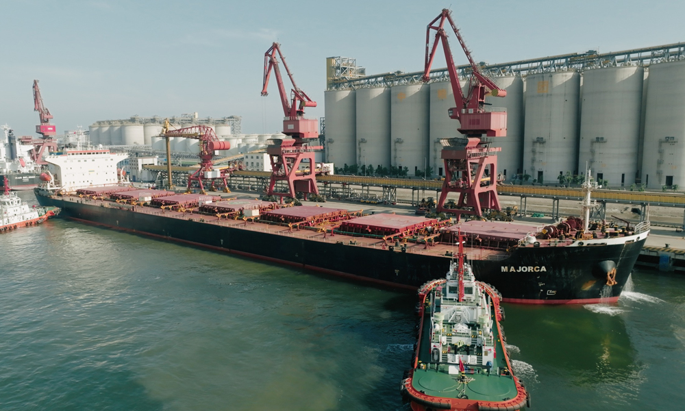 “零毀林”的理念主要源于世界自然基金會（WWF）提出的“2030年實現全球森林零毀林”的發展目標。“零毀林”大豆，就是大豆種植地不涉及任何毀林或植被破壞情況而生產出的大豆。據悉，歐盟在去年出臺了《歐盟零毀林法案》，要求銷售至歐盟市場的大宗農產品不得產自于毀林開荒的土地，以減緩全球變暖并保護生物多樣性。