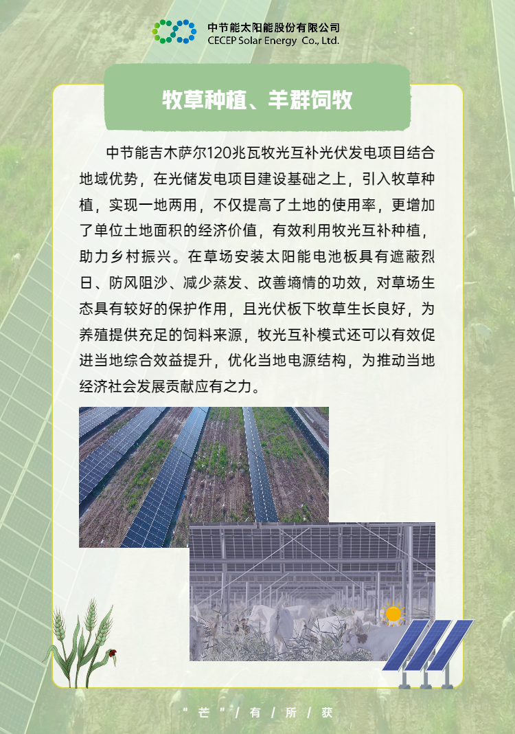 中國節能助力鄉村振興 (1).png