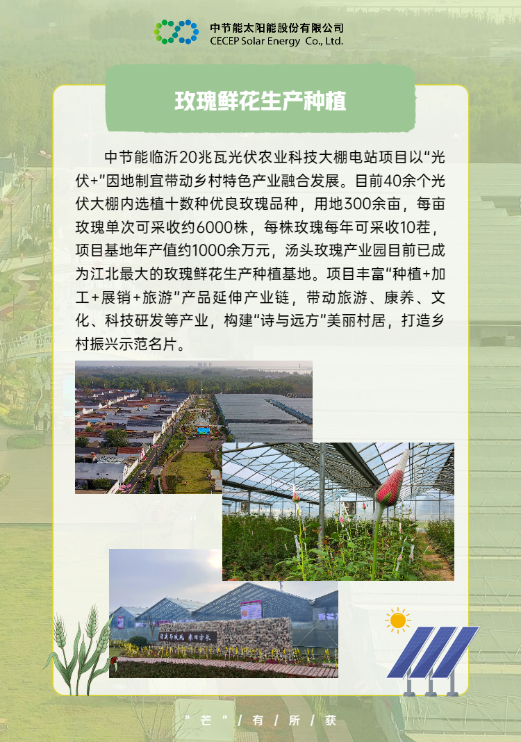 中國節能助力鄉村振興 (5).png