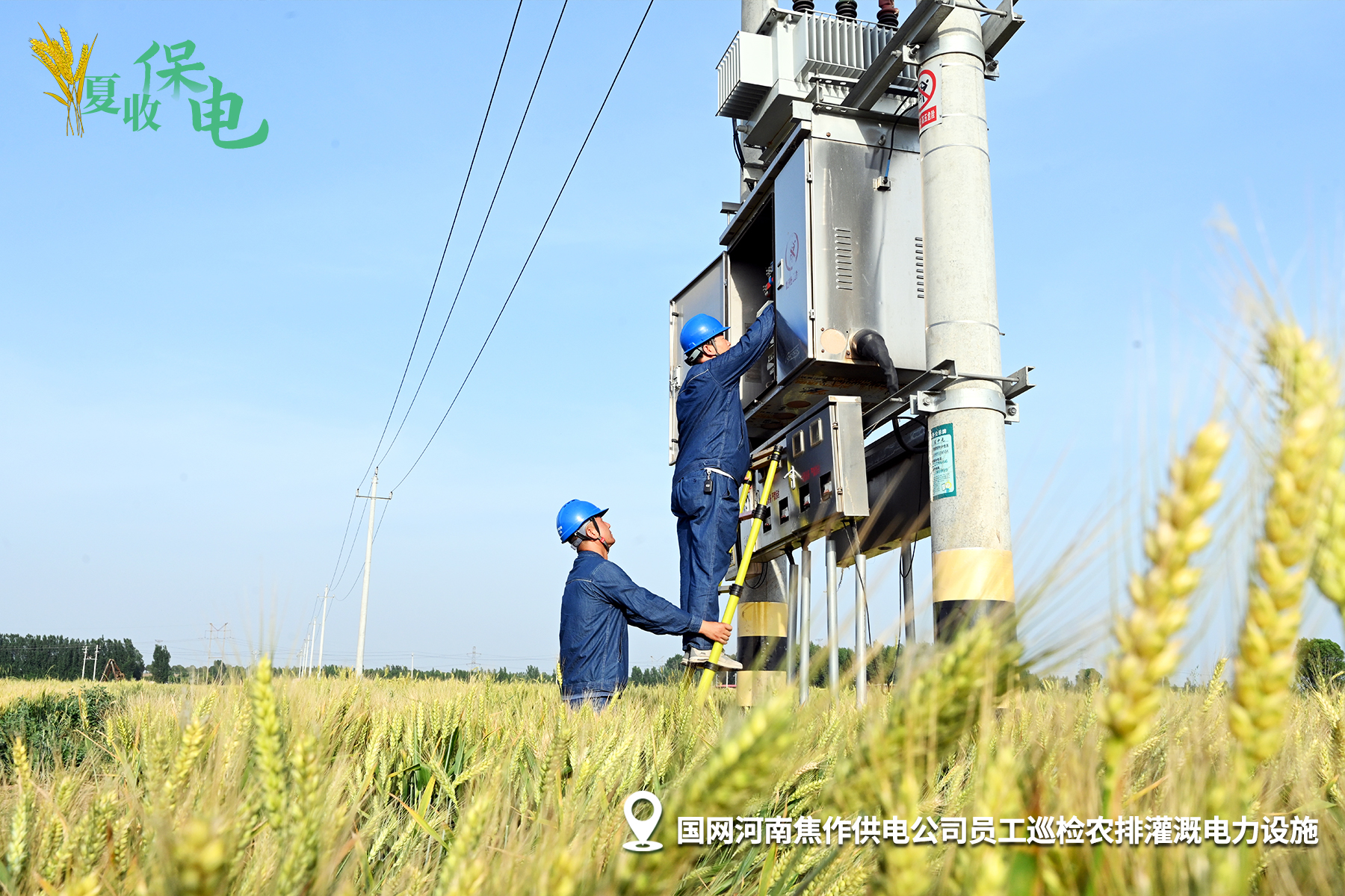 夏收保電4.jpg
