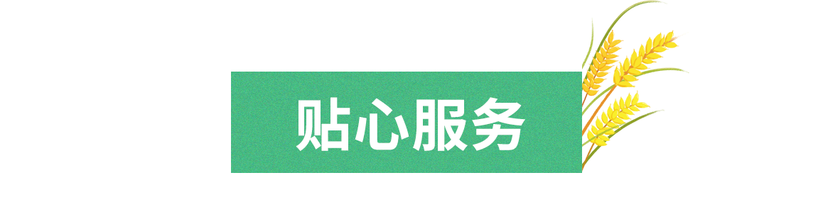 標題4.png