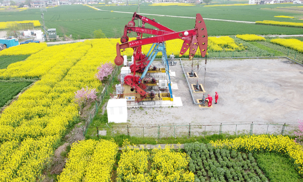 百花爭艷春意濃。天南海北的中國石油人爭上產，保供應，掀起春季生產熱潮。在油氣生產現場，恣意生長的繁花與鮮紅的抽油機、奮戰的石油身影交織在一起，各生產平臺皆是熱火朝天的拼搏場景。在管道建設現場，焊花飛舞、弧光閃爍，管道人展現出高超的焊接技藝，確保高質量完成建設任務。在春耕保供一線，中國石油建立上下游企業聯動保供機制，備足春耕用油，以最大產能向市場供應高品質農用物資，為農業發展注入澎湃動能。圖為遼河油田。